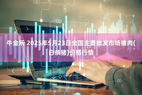 牛金所 2025年5月23日全国主要批发市场猪肉(白条猪)价格行情