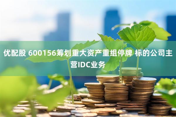 优配股 600156筹划重大资产重组停牌 标的公司主营IDC业务