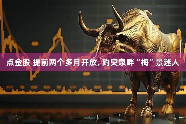 点金股 提前两个多月开放, 趵突泉畔“梅”景迷人