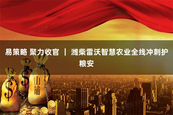 易策略 聚力收官 ｜ 潍柴雷沃智慧农业全线冲刺护粮安