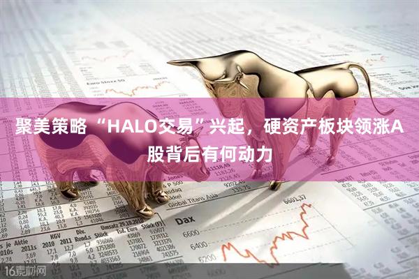 聚美策略 “HALO交易”兴起,硬资产板块领涨A股背后有何动力